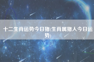 十二生肖运势今日猪(生肖属猪人今日运势)