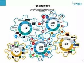 个体怎么申请微信小程序（详细步骤解析）