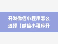 开发微信小程序怎么选择（微信小程序开发指南）