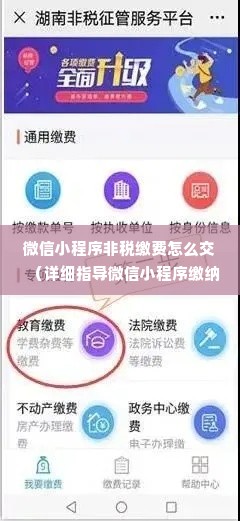 微信小程序非税缴费怎么交（详细指导微信小程序缴纳非税款项的流程）