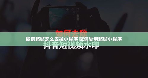 微信粘贴怎么去掉小程序 微信复制粘贴小程序