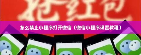 怎么禁止小程序打开微信（微信小程序设置教程）