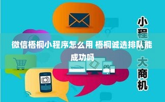 微信梧桐小程序怎么用 梧桐诚选排队能成功吗