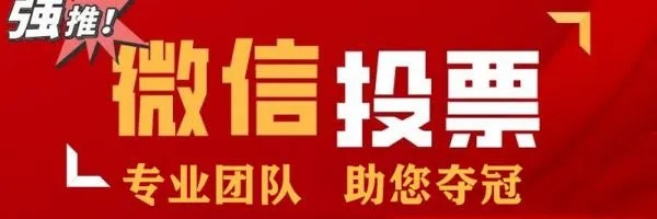 微信投票小程序怎么加人（微信投票小程序怎么加人进去）