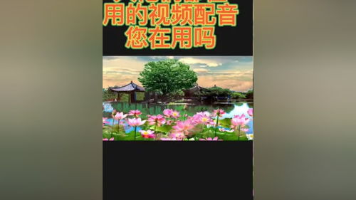 微信小程序如何快速添加至桌面（详细教程）