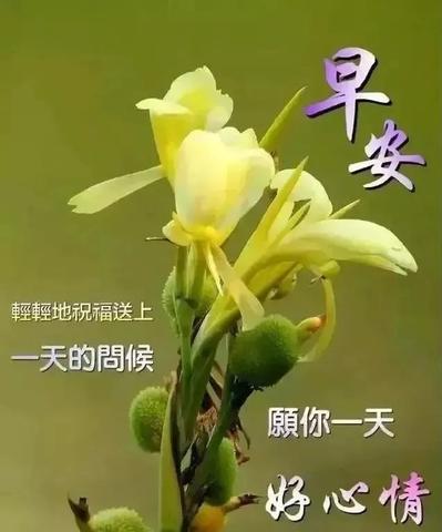 微信怎么添加祝福语小程序（祝福语小程序添加方法详解）