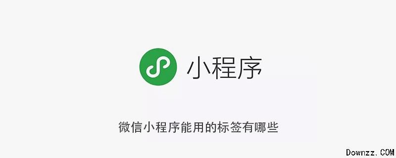 微信小程序怎么插入标签（微信小程序的标签）