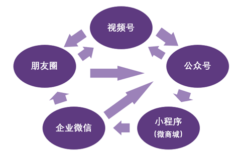 微信小程序与微信视频号，完美结合的策略与技巧