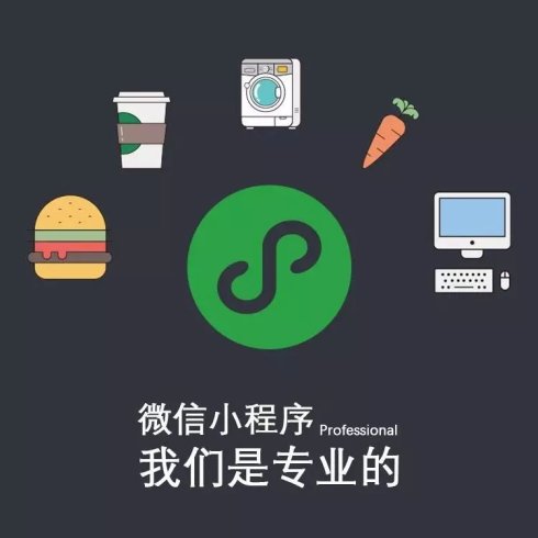 小趴菜微信小程序，玩转指南与体验乐趣