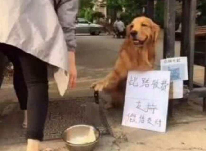 专业微信小程序制作指南，从构思到上线