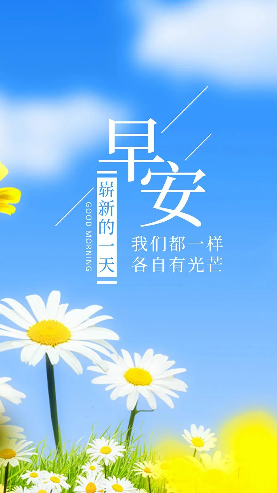 微信小程序的句子编织之道，创意、技巧与实践