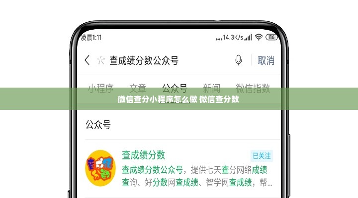 探索查分小程序，如何使用微信小程序便捷地查询初中分数