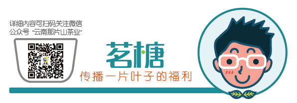 微信小程序的安全设置，如何保护隐私，防止他人窥探