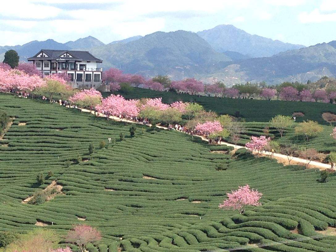 永福县旅游景点,永福县旅游景点攻略