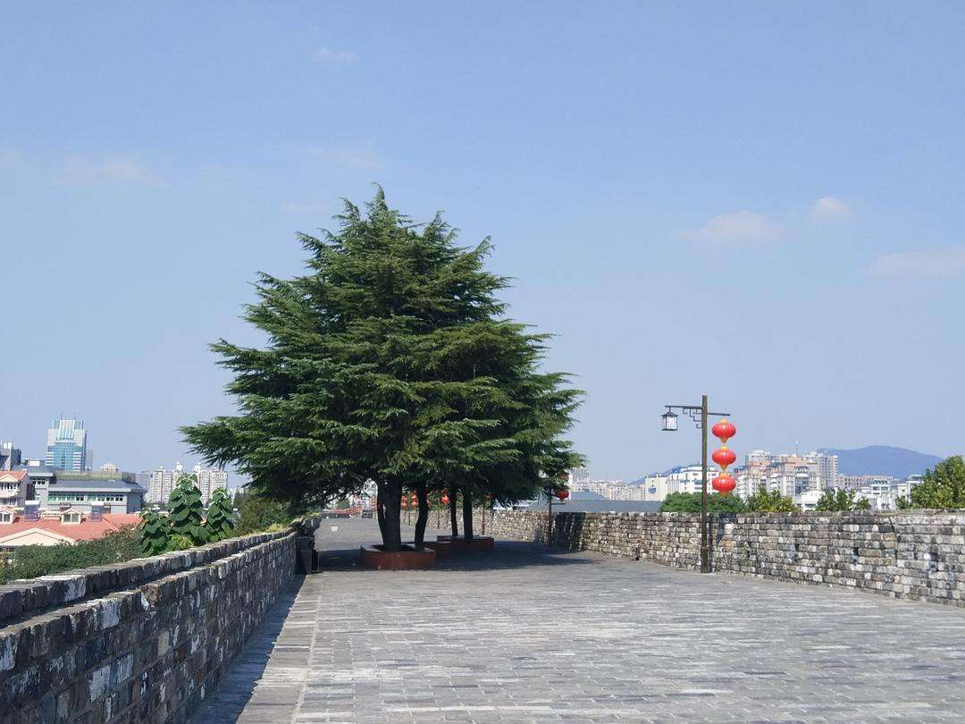 朝阳门附近景点 朝阳门附近的旅游景点