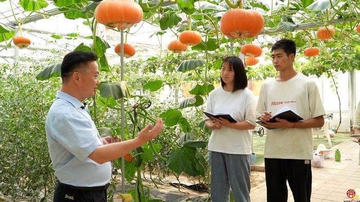 山东省乡村振兴 山东省乡村振兴局