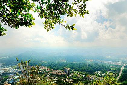 东莞长安莲花山风景区 东莞长安莲花山风景区简介