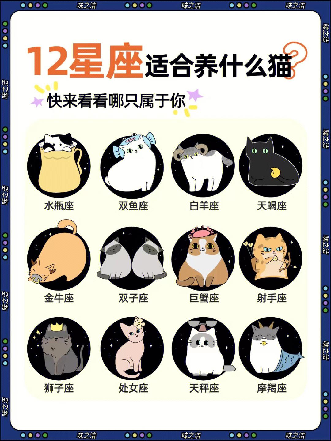 12星座适合养什么宠物 12星座适合养什么宠物猫?