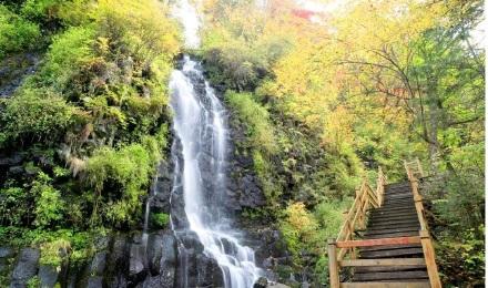 十五道沟望天鹅风景区 十五道沟望天鹅风景区电话