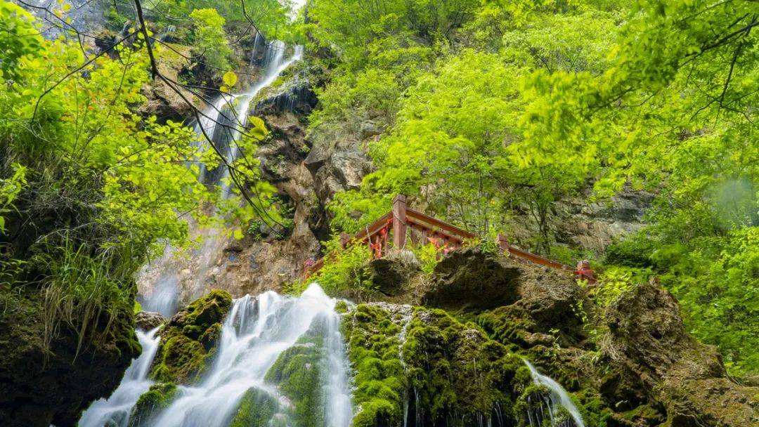 旅游景点教师优惠政策 教师资格证旅游景点优惠政策