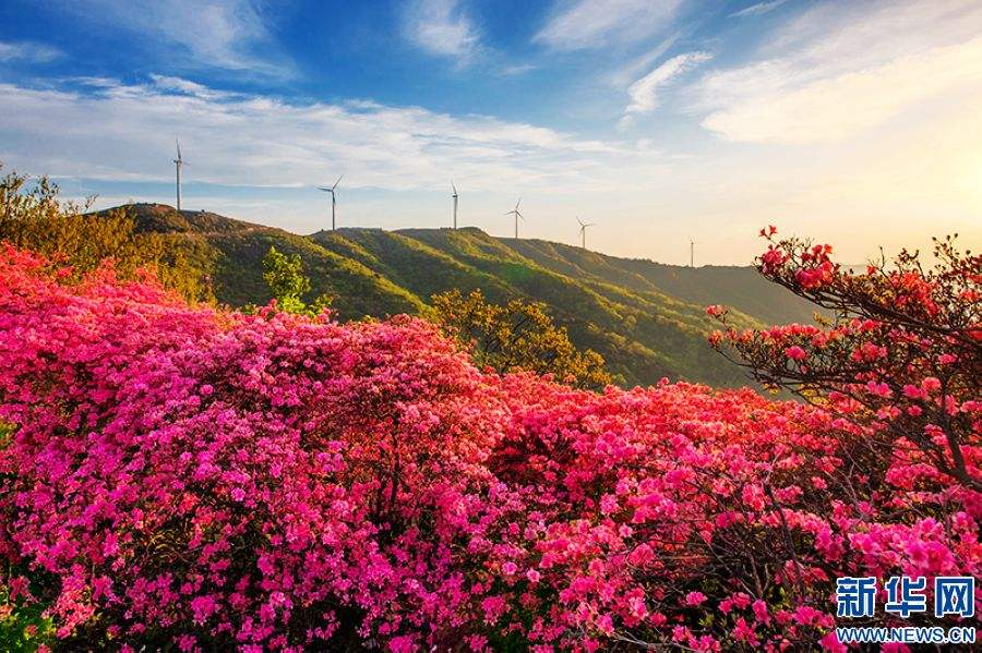 信阳新县红色旅游景点 信阳新县红色旅游景点有哪些