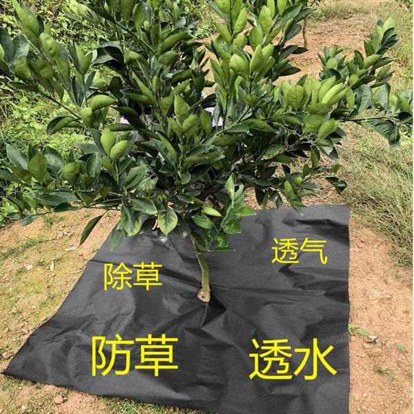 农用防草布 农用防草布厂家