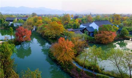 西溪湿地到灵隐寺 西溪湿地灵隐寺民宿