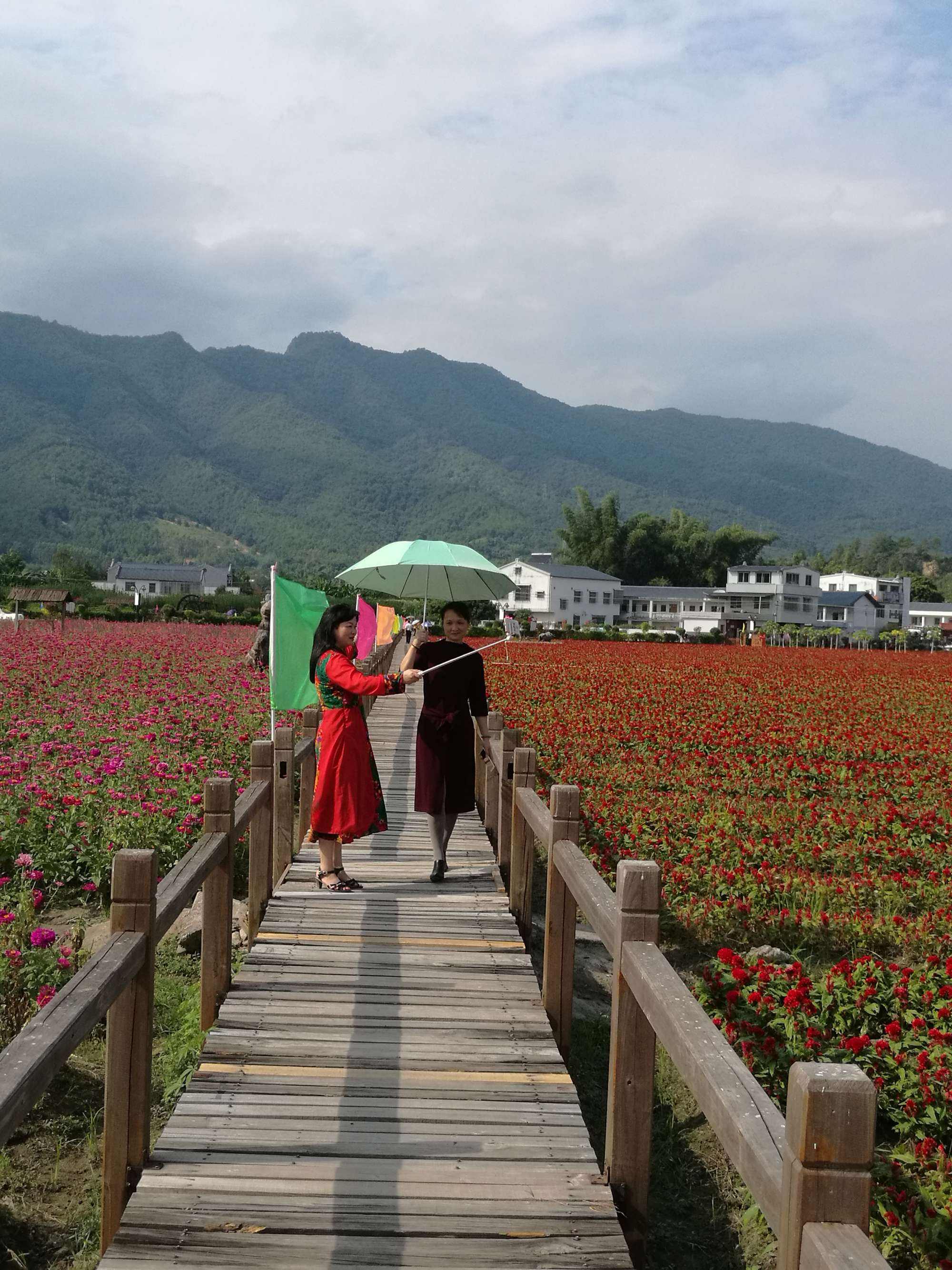 蕉岭白马村景点 蕉岭白马村景点图片