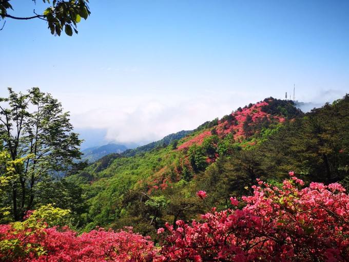 麻城附近景点攻略 麻城风景区旅游攻略