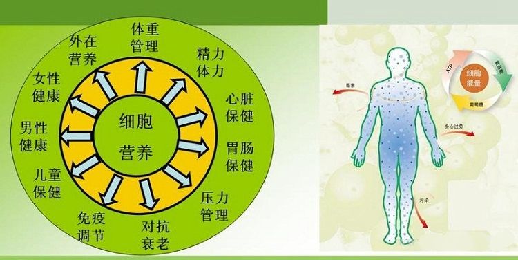 什么的营养 蜂蜜吃什么的营养