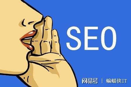 seo百度快排 专业百度快排seo