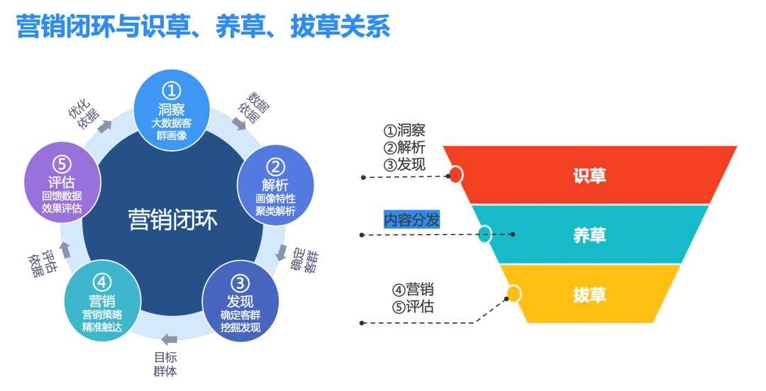 品牌营销运营 品牌营销 产品营销