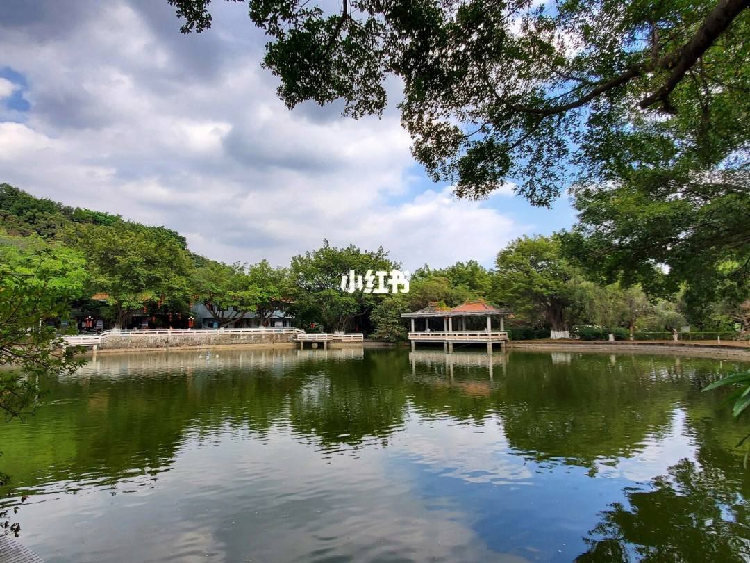 鲍冲湖风景区 鲍冲湖风景区属于哪里