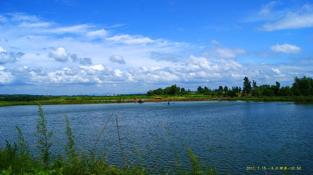 盛夏的风景 盛夏的风景歌词