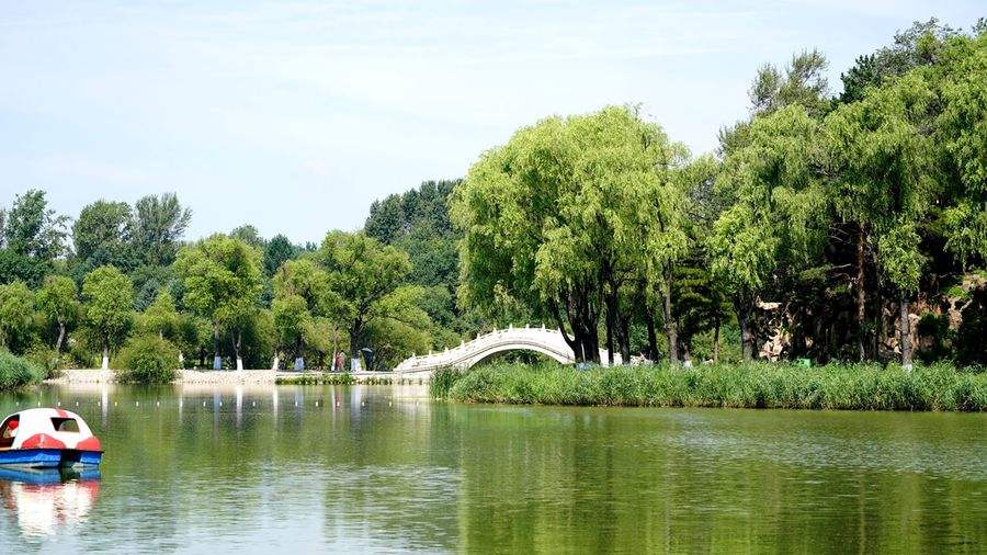 盛夏的风景 盛夏的风景歌词