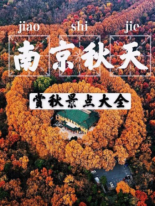 南京国庆景点 国庆南京旅游攻略景点必去