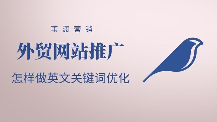 seo优化外贸网站 外贸网站优化推广方案