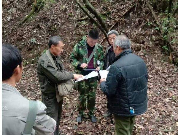 林权纠纷的内容 林权纠纷处理办法全文