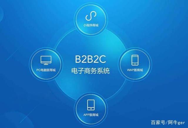 b2c三种运营模式 b2c三种运营模式电子商务答案