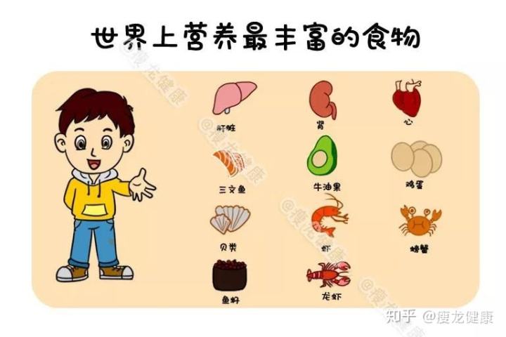 食物的营养 食物的营养价值