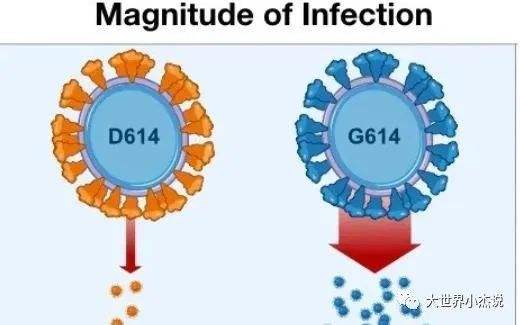 新冠病毒能影响基因吗 新冠病毒能影响基因吗视频