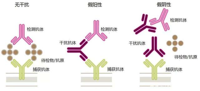 新冠病毒抗体4.52 新冠病毒抗体igg阳性是什么意思