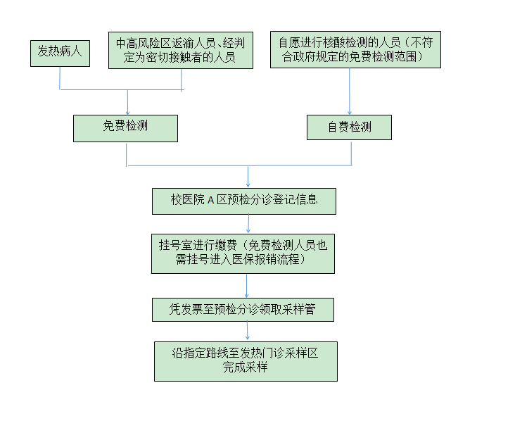 新冠病毒核酸提出流程 请分析新冠病毒核酸检测的原理及基本流程