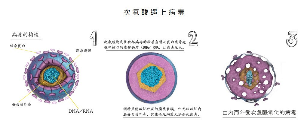 新冠病毒脚底消毒用什么 新冠病毒脚底消毒用什么消毒液