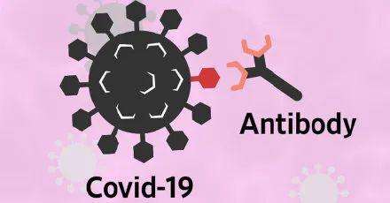 新冠病毒抗体综合药物 新冠病毒抗体综合药物是什么
