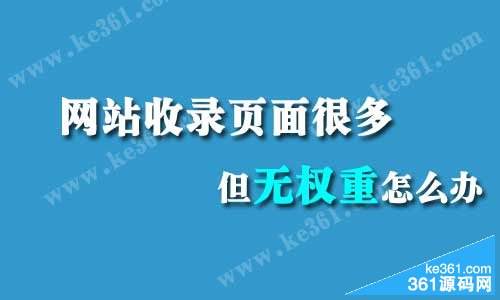 新网网站运营 网站新媒体运营