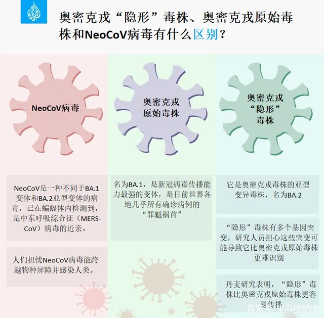 我国新冠病毒流行毒株 国内新冠病毒的毒株有哪些