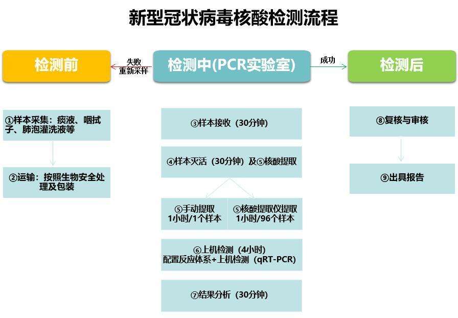 新冠病毒核酸检测英语缩写 新冠病毒核酸检测的英文缩写