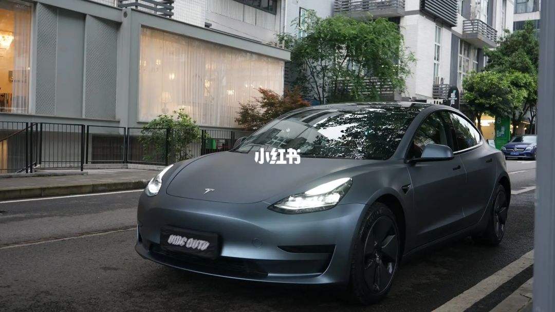 model3娱乐 model 3官方