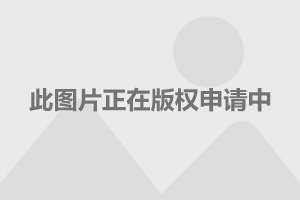 上海大众商务车 上海大众商务车多少钱一辆